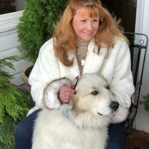 Meet your Posher, Cary